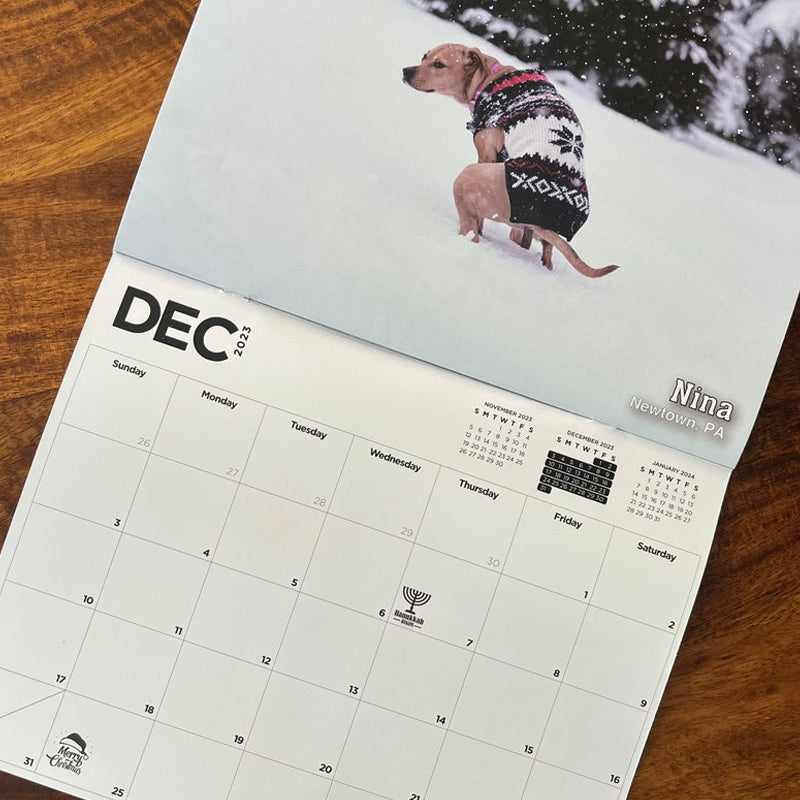 2024 Dogs Pooping in Beautiful Places Calendar awishday