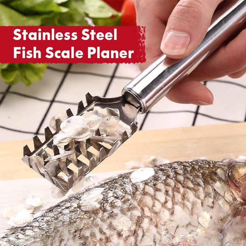 Stainless Steel Fish Scale Planer