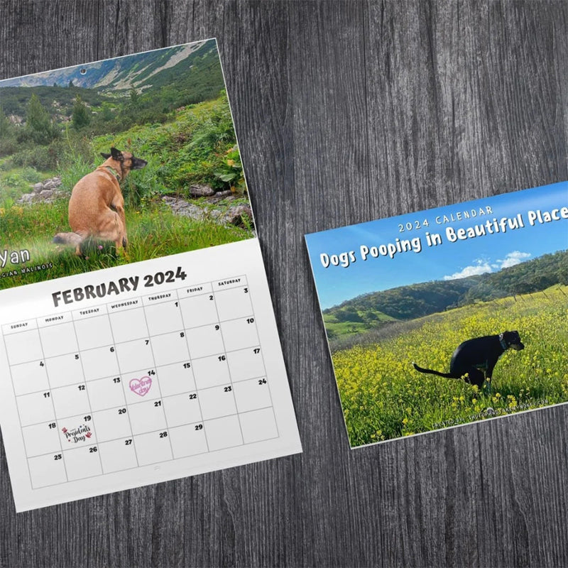 2024 Dogs Pooping In Beautiful Places Calendar Awishday   1 C9ded029 Afe8 4840 8c39 A7ca8deb7b9b 800x 