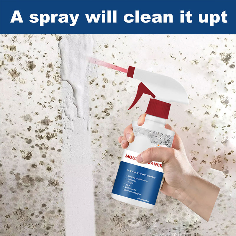 Mildew Cleaner Foam